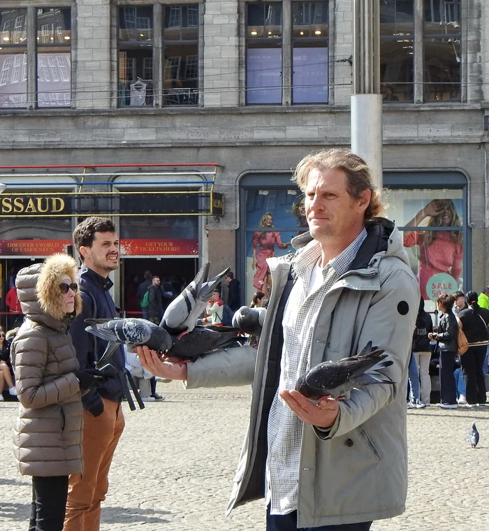 Lords of the Birds - My, The photo, Travels, Tourism, Birds, Pigeon, Square, Street photography, Netherlands (Holland)