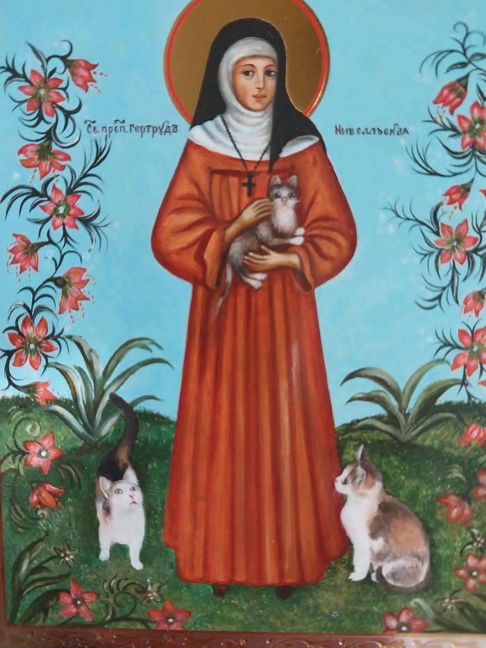 Это для любителей котов