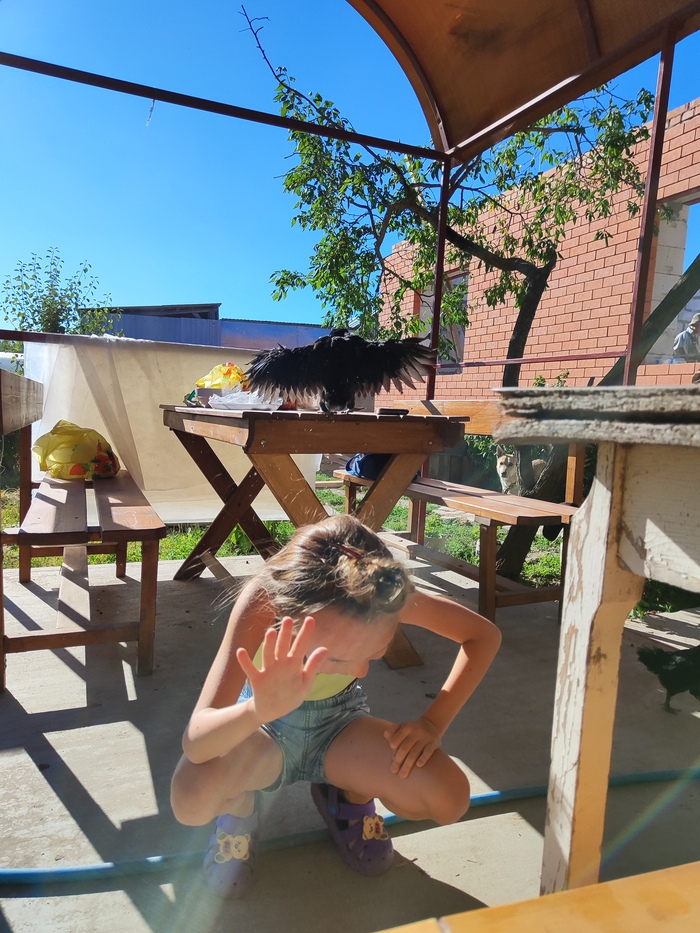 Отгадайте, кто летит? Ответ скину потом в комментах. Зацепил кадр, что называется