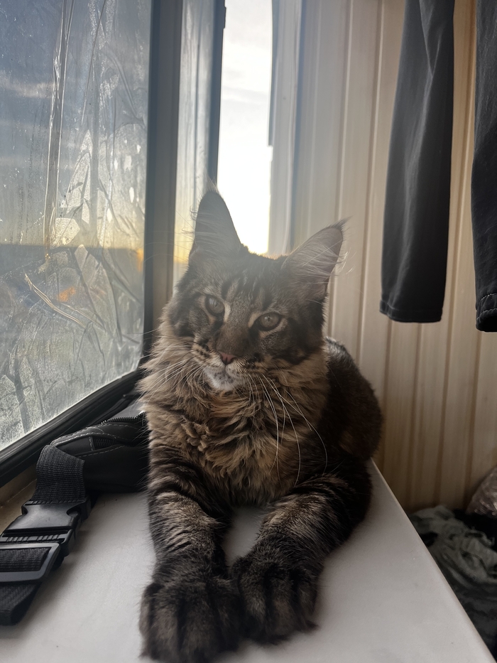 ��� ����� ����� ����