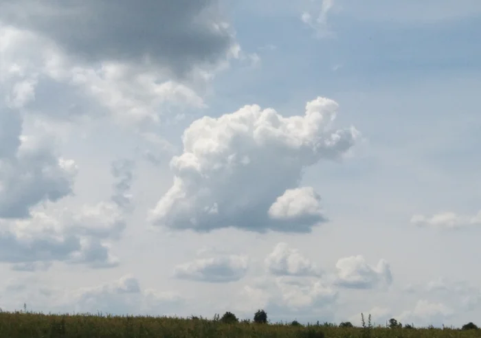 Bizarre Cloud - My, Mobile photography, The photo, Summer, Clouds, A fish, It seemed, Pareidolia