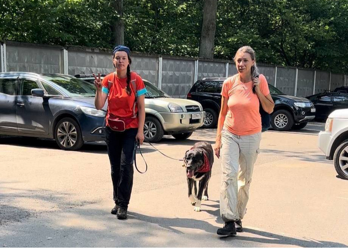 ����������� ������ ������ � ��������! 