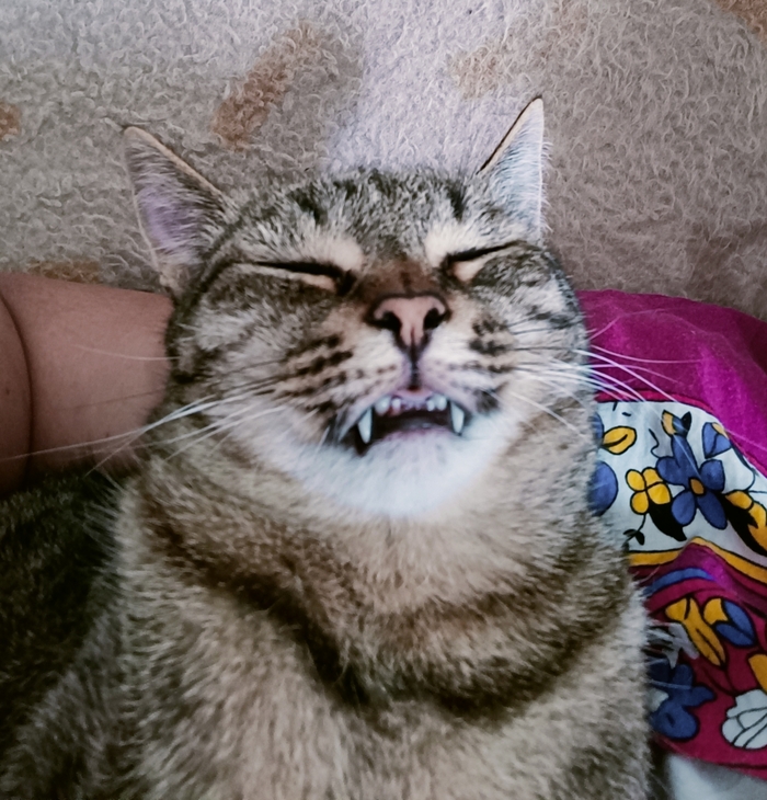  )