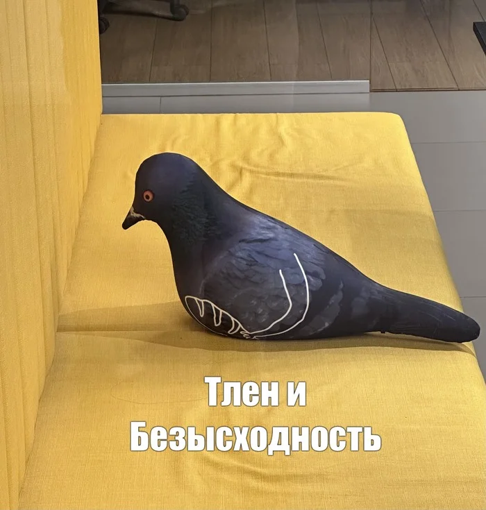 My first meme - My, Memes, Humor, Pigeon