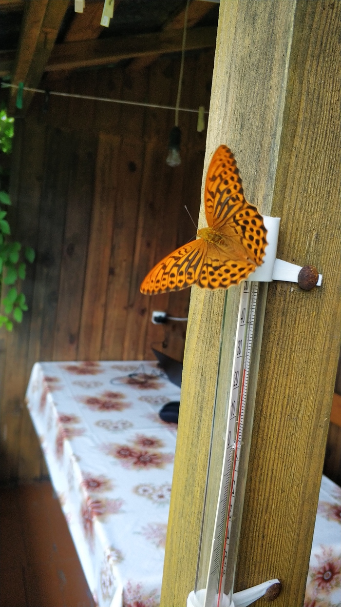     ,  .     ,    ,       . 