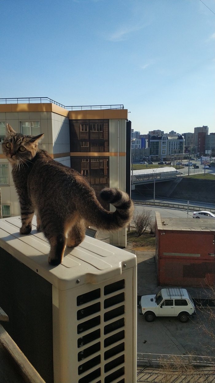 ����� ��� ������ ������� ���� �� ������, ��� ��� ��������� ����� ����������� "��������". ������ � ���������� ������ ������ �� ����� ��������🥴🥴🥴