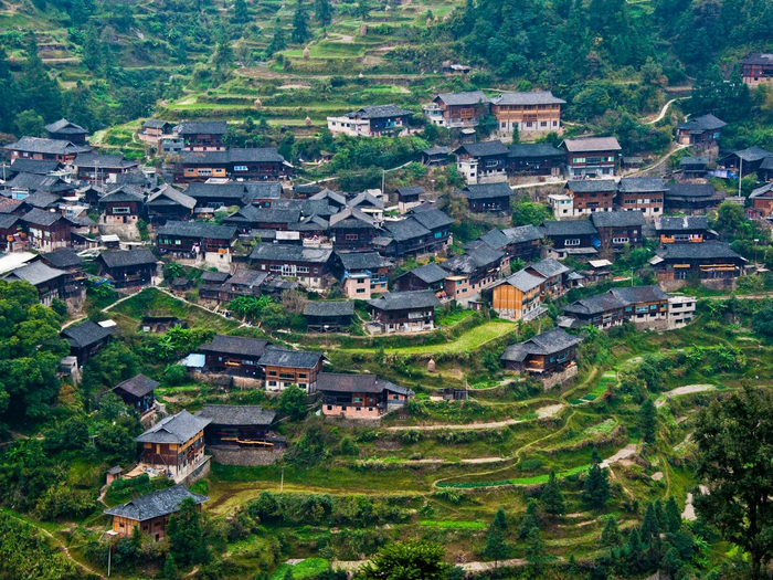        -   ,        .  ,  ,       ,    ,    ,     .