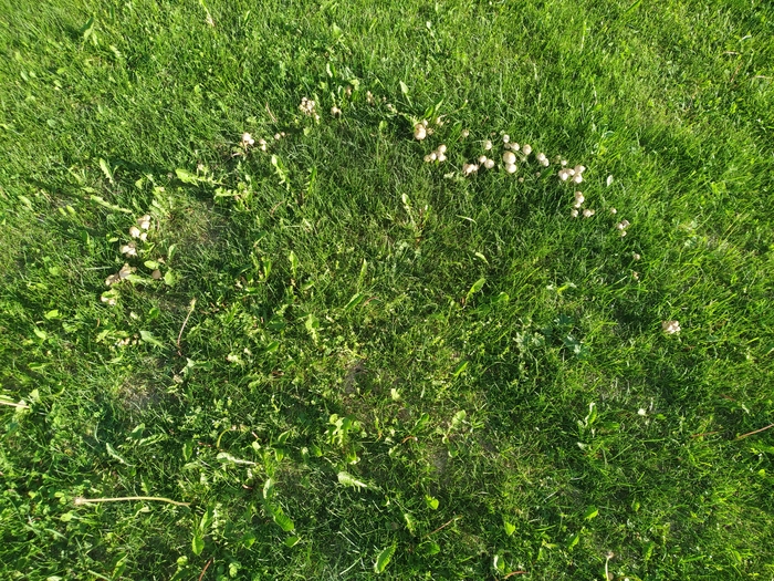 �������, ����� ���-�� �������� �� ���� ������