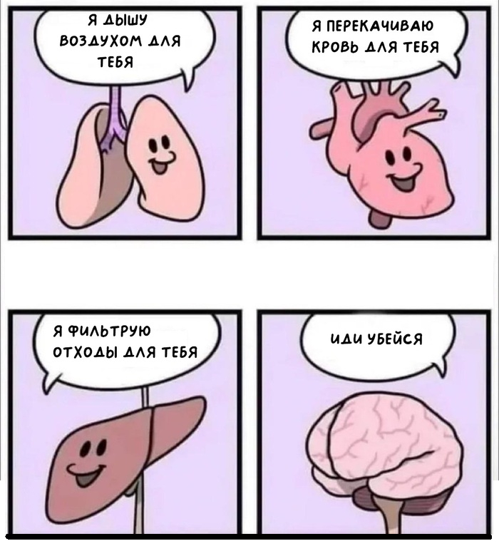 Each organ has its own special function in the body. - Picture with text, Memes, Comics, Organs, Strange humor, Brain, Hardened, Stonetoss