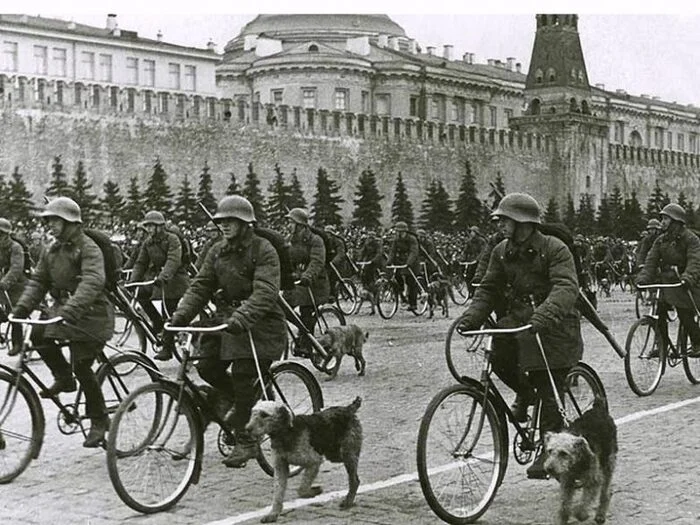 Советские противотанковые собаки-камикадзе - Собака, Смертник, Великая Отечественная война, Вторая мировая война, СССР, Сделано в СССР, Солдаты, Военная история, Истории из жизни, Память, Герои, Фотография, YouTube, Видео, YouTube (ссылка), Длиннопост