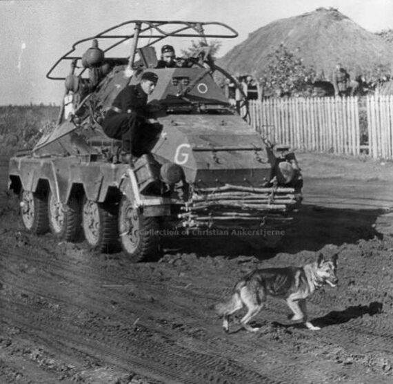 Soviet anti-tank kamikaze dogs - Dog, Bomber, The Great Patriotic War, The Second World War, the USSR, Made in USSR, The soldiers, Military history, Life stories, Memory, Heroes, The photo, Youtube, Video, YouTube (link), Longpost