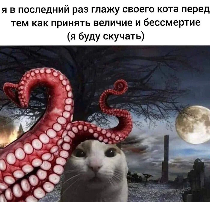 Good bye, my friend - Humor, Picture with text, Memes, Tentacles, Telegram (link), cat