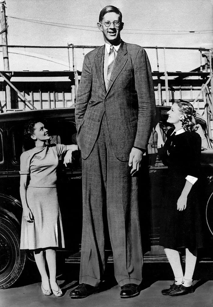 The tallest guy in the world - My, Giant, A big increase, Big and kind giant, Kindness, Longpost, Robert Wadlow