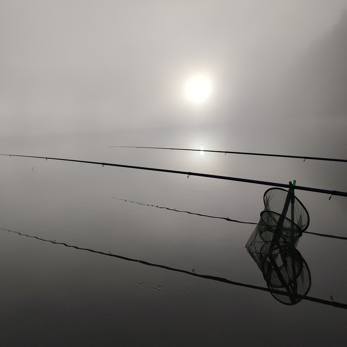 � ���� ������