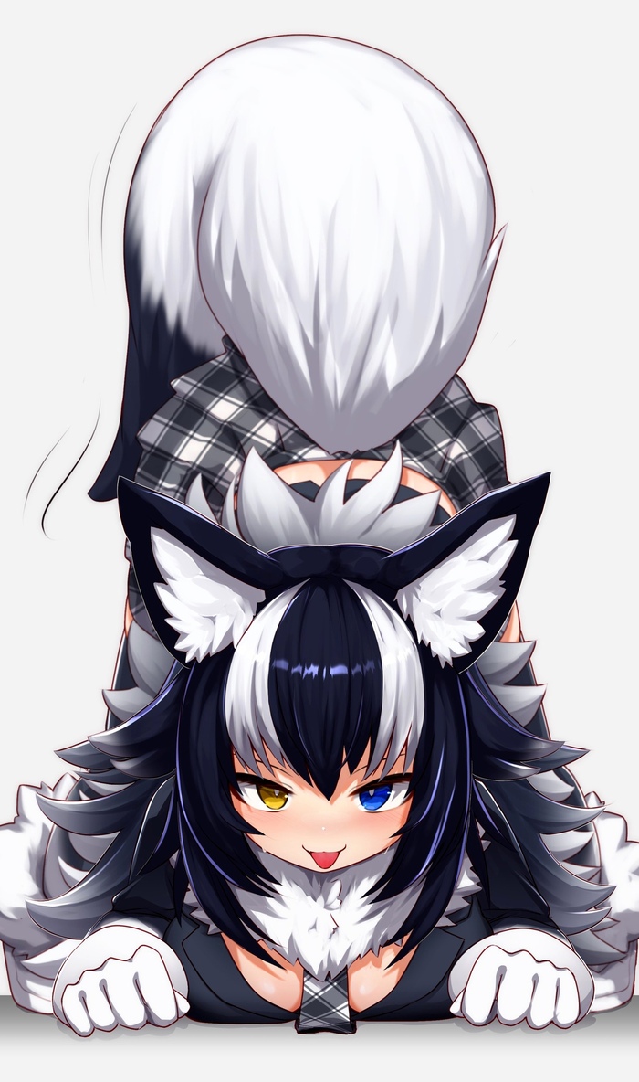   , Anime Art, Kemono Friends, Grey Wolf