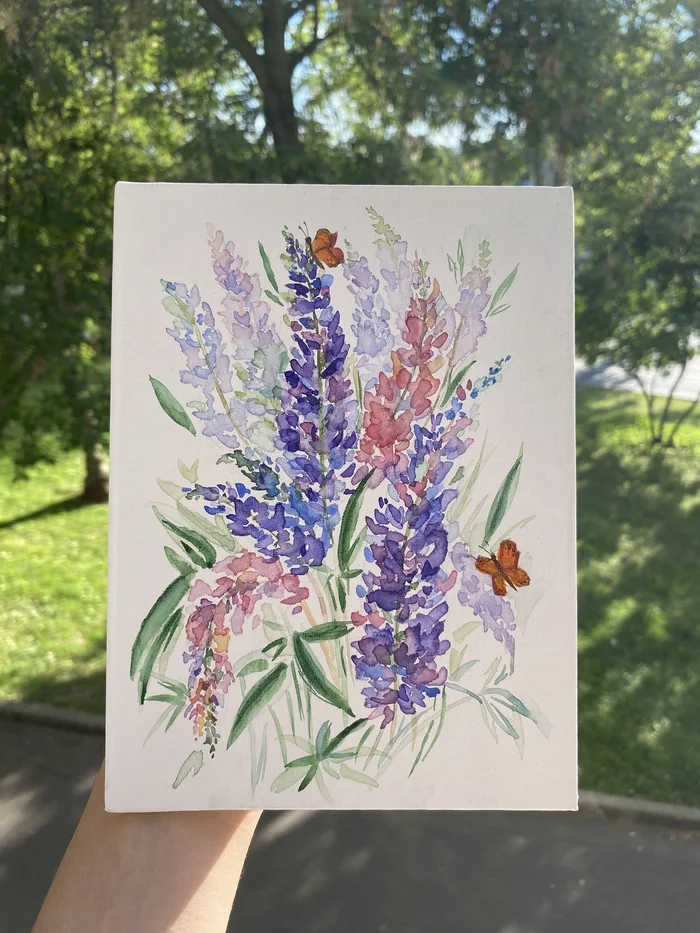 Lupines in watercolor - My, Drawing, Painting, Watercolor, Flowers, Artist