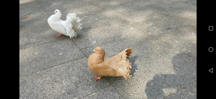 ! ""  -    , ,   , , , ,  , 
