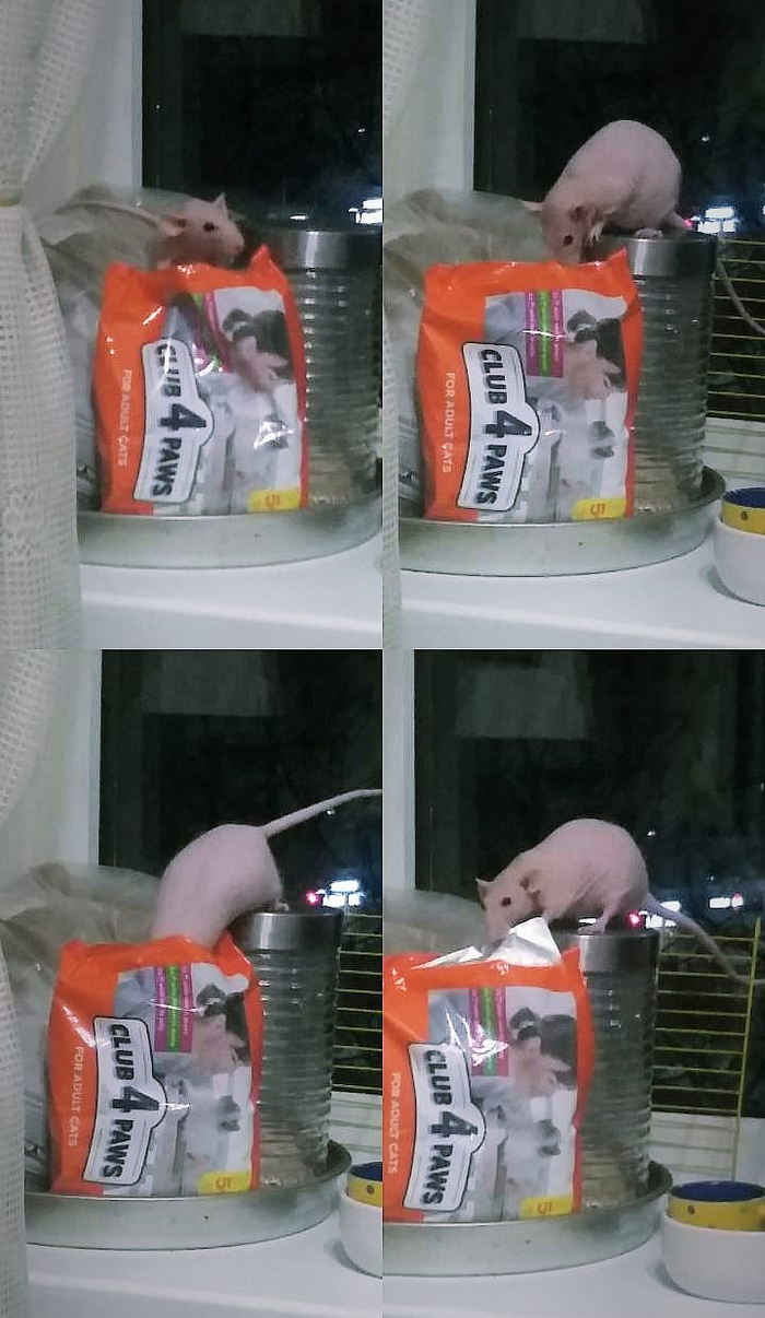   -    