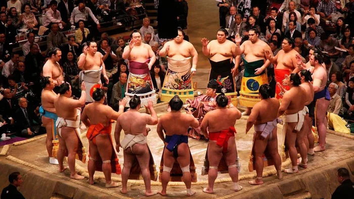 They swear they will no longer eat after 6 p.m. - People, Emotions, Humor, Japan, Japanese, Sumo, Fullness, Vital, Suddenly, Wisdom, A life, The oath, Observation, Person, Thoughts, Dream, Men, Reasoning