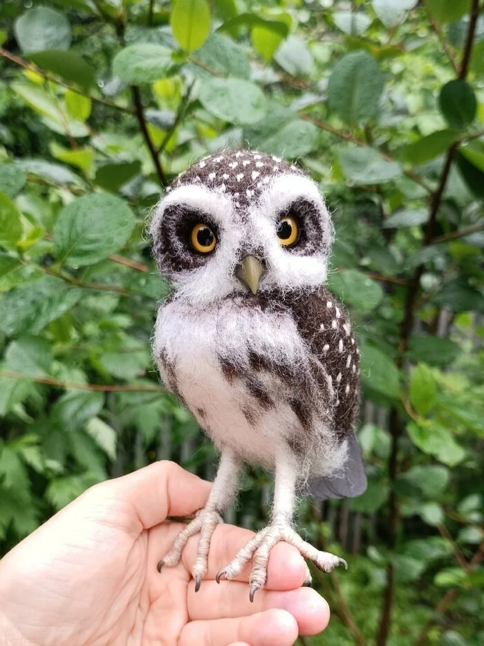 Sparrow's gloomy owl... - My, Owl, Author's toy, With your own hands, Needlework without process, Creation, Owl, Longpost