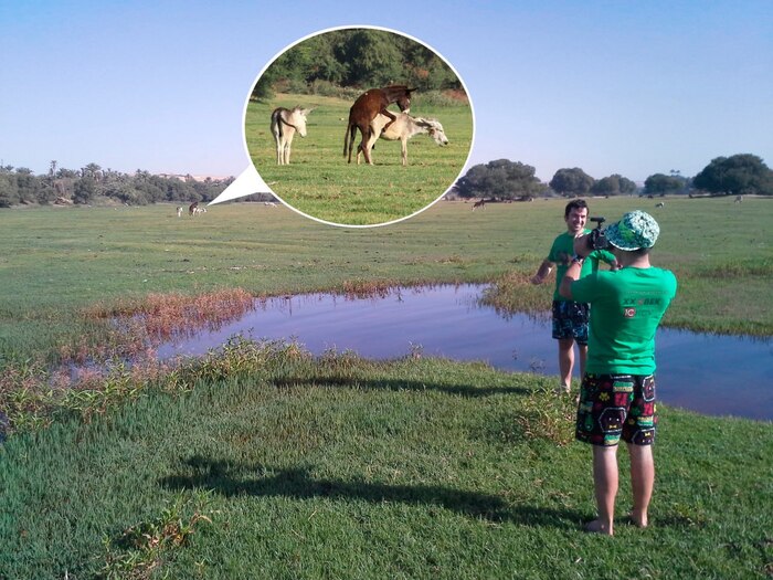 � ���� ���������� ��������