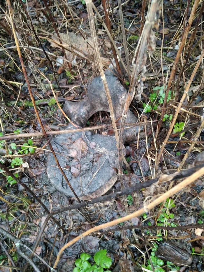 About the whale vertebra - My, Grandfather, Village, Spine, Vertebrae, Life stories, Whale, Longpost