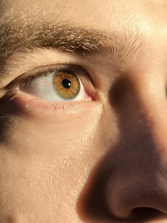 The man's eye color that I fell in love with - My, Eyes, Mobile photography, Macro photography, Husband