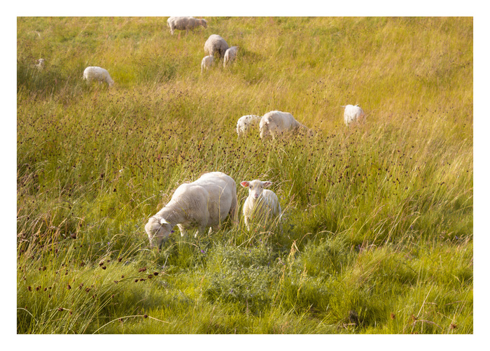 Landscape Lover #29 , Canon, , ,  