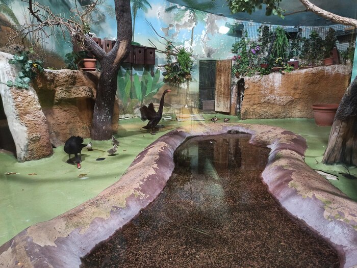 �������