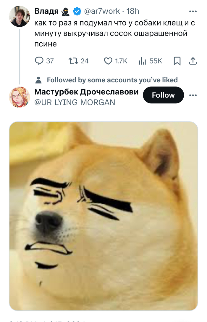      , X (Twitter), , ,  , , , Doge