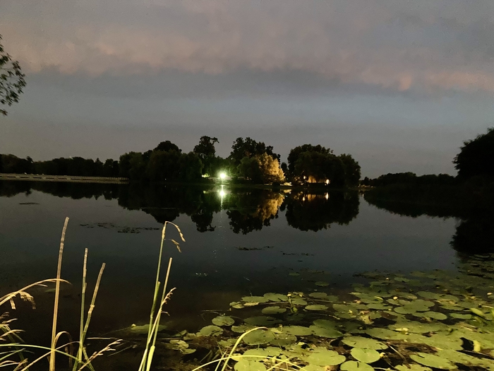 ��������, ������ ����