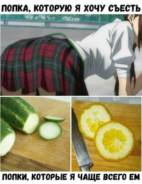   (&#x2565;&#xFE4F;&#x2565;)