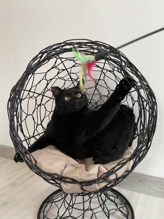       , ,  , ,  ,  ,   , , , , , 