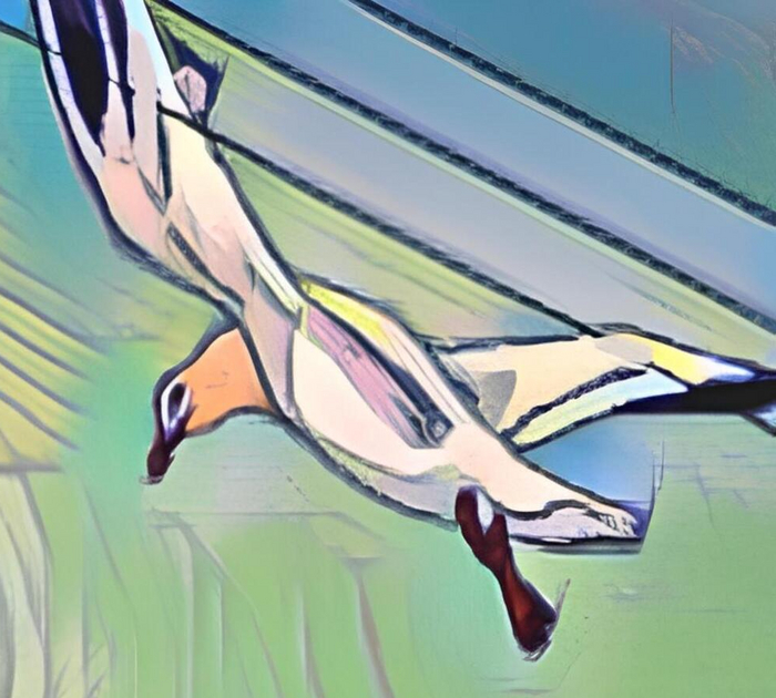    ,  , ,  ,   , , ,    , , , , , 