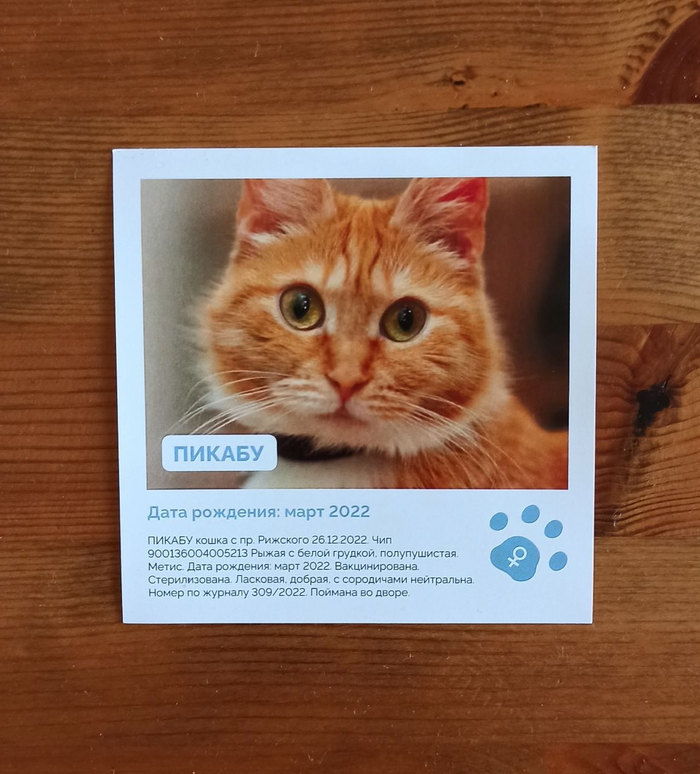 О воображении