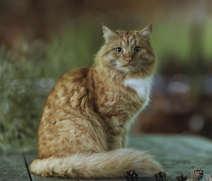 ����� ��� � �����