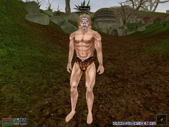  (Botrir) Bethesda, The Elder Scrolls, The Elder Scrolls III: Morrowind, , RPG, , , , 
