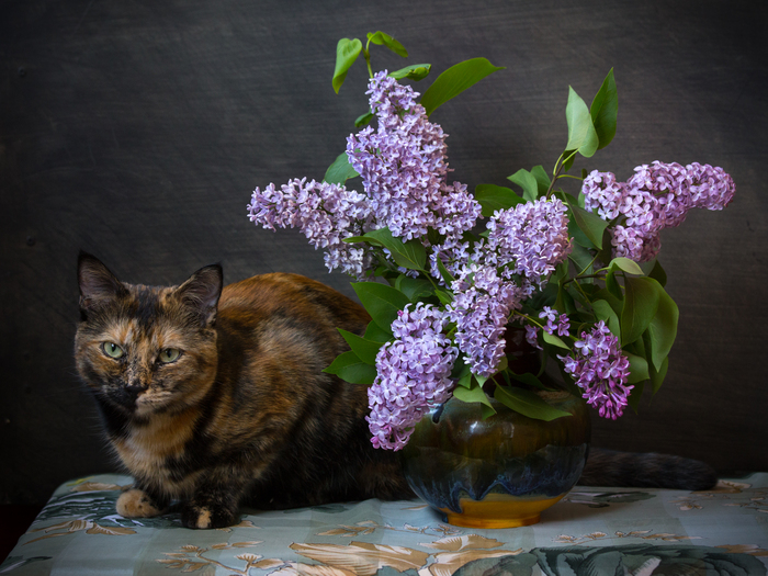 �������� ��� ���������  )