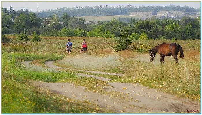 In those distant times... - My, The photo, Nature, Summer, Long away, Nostalgia