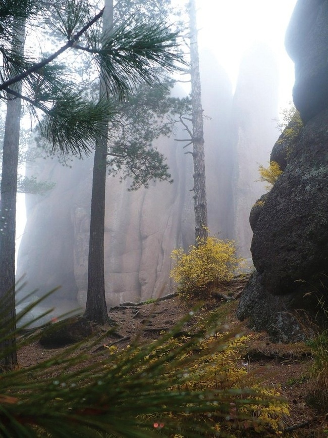 Krasnoyarsk Pillars is one of the most popular nature reserves in Russia - My, Nature, Ecology, Around the world, Garbage, Reserves and sanctuaries, The nature of Russia, Protection of Nature, Environmental pollution, Environment, Surroundings, Eco-education, Mbn, Longpost