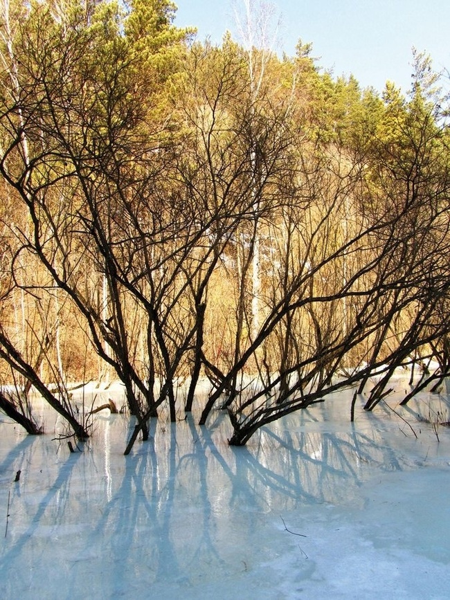 Krasnoyarsk Pillars is one of the most popular nature reserves in Russia - My, Nature, Ecology, Around the world, Garbage, Reserves and sanctuaries, The nature of Russia, Protection of Nature, Environmental pollution, Environment, Surroundings, Eco-education, Mbn, Longpost