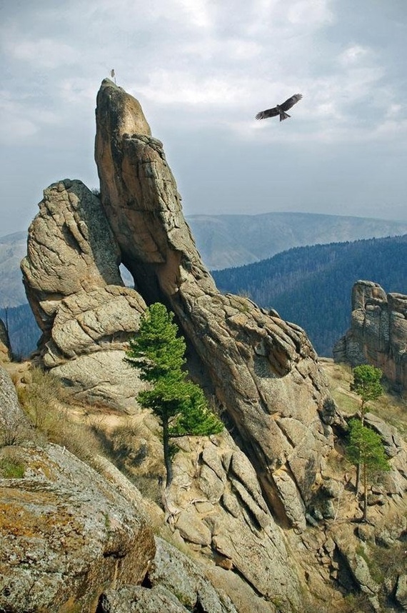 Krasnoyarsk Pillars is one of the most popular nature reserves in Russia - My, Nature, Ecology, Around the world, Garbage, Reserves and sanctuaries, The nature of Russia, Protection of Nature, Environmental pollution, Environment, Surroundings, Eco-education, Mbn, Longpost