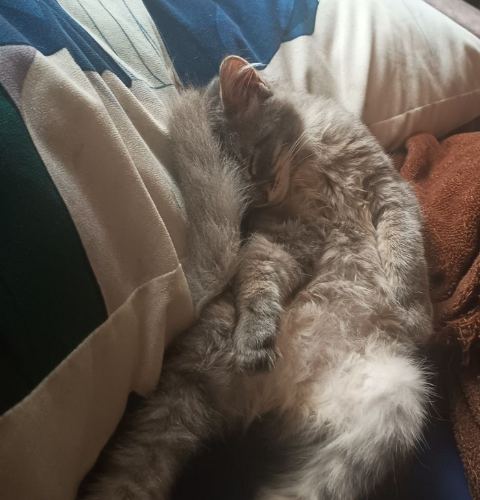 Пора странно спать