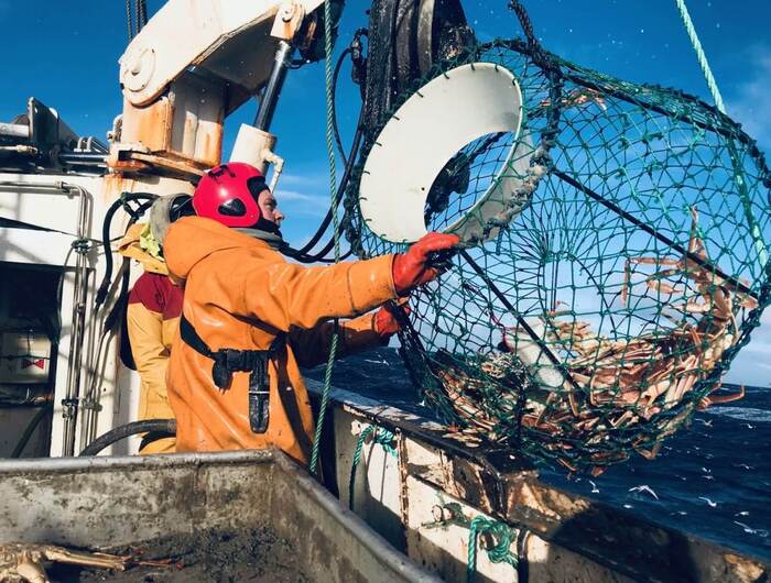 Earning $50,000 per voyage: What you need to know about working as a crabber in Norway - My, Development, Career, Profession, Work, Labor Relations, Longpost