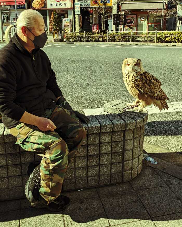 A Japanese man walks his pet. Tokyo, Koenji Station - My, Milota, Asians, Tokyo