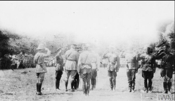        . 1919 
