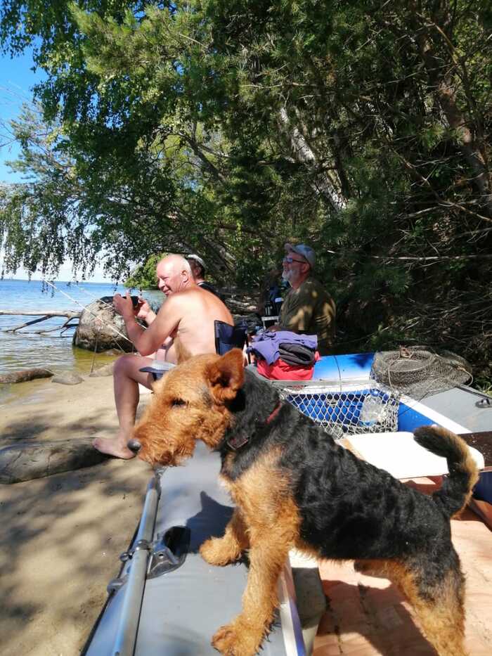 Welsh Terrier fishing - My, Welsh Terrier, Fishing, Dog, Pets, The photo