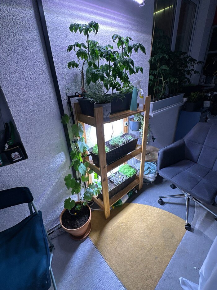 ��� ���� �����.