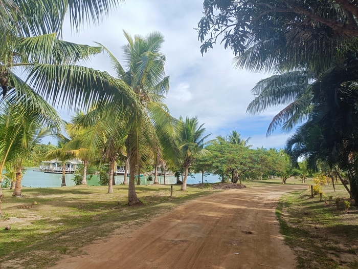       ,      ,    ,            .