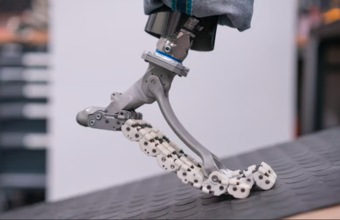 SoftFoot Pro       . Istituto Italiano di Tecnologia -  IIT,   